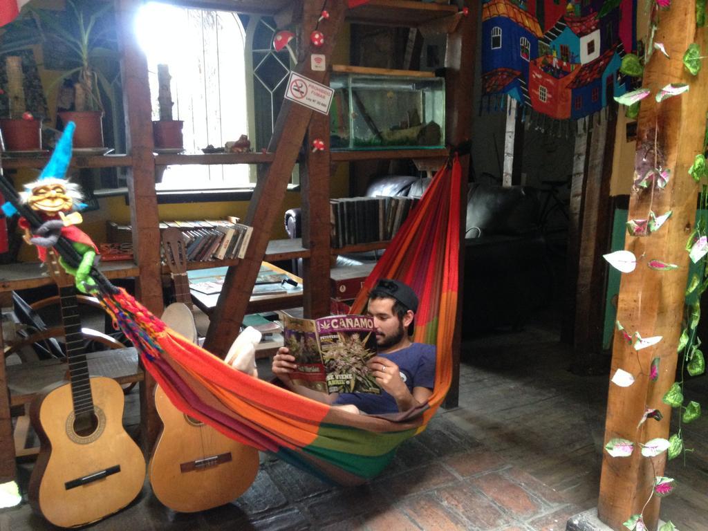 Gnomo Albergue *